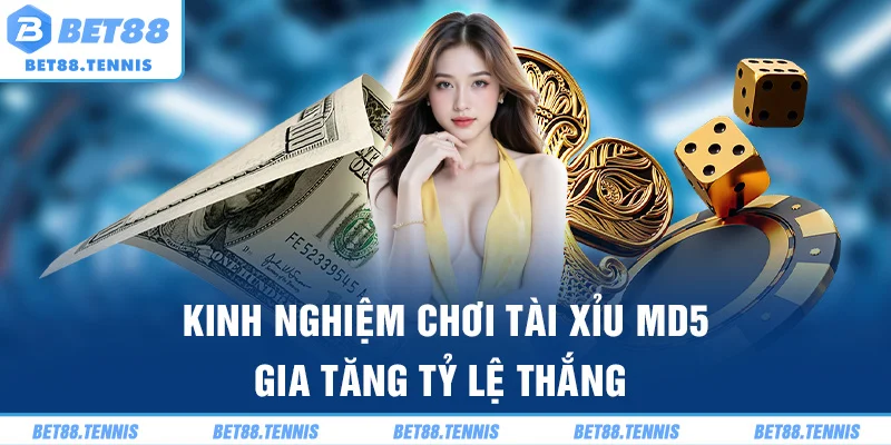 Kinh nghiệm chơi tài xỉu MD5 gia tăng tỷ lệ thắng